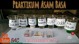 PRAKTIKUM ASAM BASA [upl. by Tnecniv]