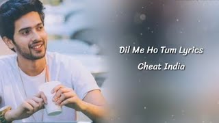 Lyrics song chal Diya Dil Tere Piche Piche [upl. by Pachton435]