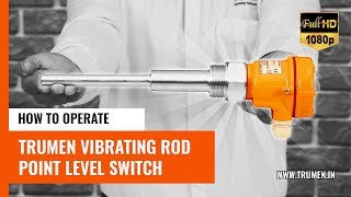 Vibrating Rod Point Level Switch [upl. by Ferullo256]