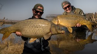 Big carp fishing at Buffelspoort dam  Carp fishing South Africa 2020 [upl. by Atsahs]