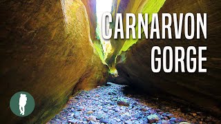 Carnarvon Gorge  Queensland  Australia Nature  Beautiful Landscapes [upl. by Roots474]