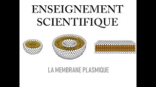 Cellule et Membrane plasmique [upl. by Leiahtan680]