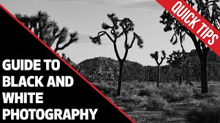 Canon Quick Tips Guide to Black and White Photography [upl. by Gintz]