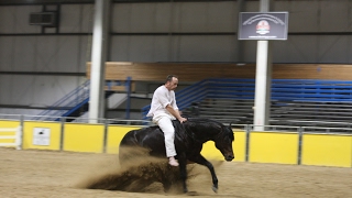 Amazing Reining freestyle [upl. by Gilburt]