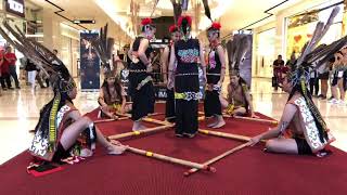 Kadazan Dusun Cultural Dance [upl. by Enilec]