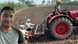 Sarso Bone Ki Taiyari  Parveen Malik Vlogs [upl. by Haneehs]