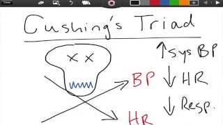 Cushings Triad  ICP  EMTprepcom [upl. by Hairej901]