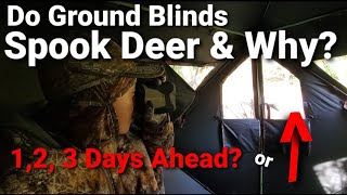 Ground Blind Hunting For Whitetail Deer [upl. by Anirtep]