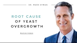 Heres Everything You Need To Know About Yeast [upl. by Naryb]