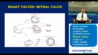 Chapter 2 Nasal Anatomy and Function [upl. by Llednav387]