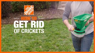 How to Get Rid of Crickets  DIY Pest Control  The Home Depot [upl. by Liborio]