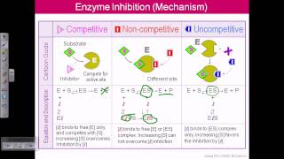 Enzyme inhibition [upl. by Naerda117]