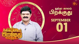 இன்றைய ராசி பலன்  நல்ல காலம் பிறக்குது  1st Sep 2020  Sun TV [upl. by Jena]