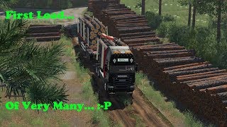 FS19  Forestry On Holmåkra  First Load  Timelapse  S02 EP22 [upl. by Naujyt]