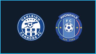 Australia Cup Round 7  Oakleigh Cannons FC v Avondale FC [upl. by Gromme843]