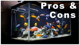 75 Gallon Aquarium Pros and Cons So Many Options [upl. by Gladys455]