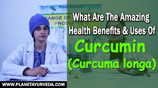 Turmeric Curcumin Curcuma longa  What Are The Amazing Health Benefits amp Uses Of This Herb [upl. by Ellette626]