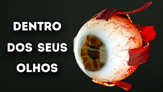 O Que Acontece Dentro Dos Seus Olhos [upl. by Halladba]