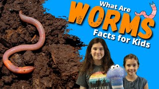 What You Need to Know About Intestinal Parasites Worms  Dr J9 Live [upl. by Haidebej]