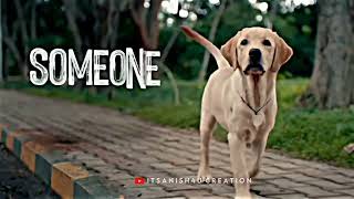 777 Charlie Whatsapp Status Video  Rakshit Shetty  Dog Lovers Status Video [upl. by Amerak182]