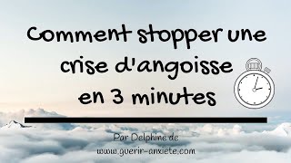 Comment Stopper Une Crise dAngoisse en 3 minutes [upl. by Milty]