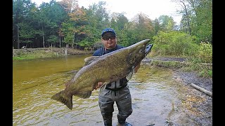 BETSIE RIVER MICHIGAN SALMON FISHING FALL 2021 [upl. by Hibben]