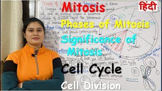 Mitosis in Hindi  Cell Cycle  Cell Division  Phases of Mitosis  Significance of Mitosis [upl. by Beutner]