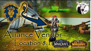 Location for Timewalking Vendor Cataclysm in Alliance Stormwind City Kiatke [upl. by Senskell]