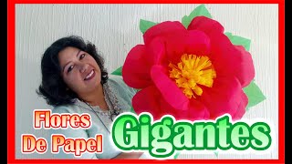 DIY  Como Hacer Flores De Papel Crepe  GIGANTES [upl. by Ottinger79]