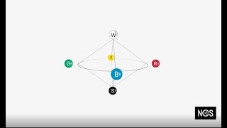 NCS – Natural Colour System® [upl. by Odin]