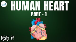 Life Processes  Lesson 20  Human Heart Part 1  in Hindi हिंदी में   Infinity Learn [upl. by Lowry]