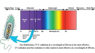 Understanding Ultraviolet UV Radiation and its Effects [upl. by Airdnoed]