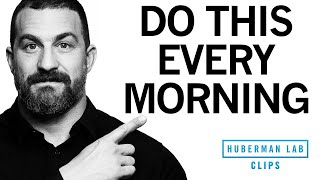 How to Feel Energized amp Sleep Better With One Morning Activity  Dr Andrew Huberman [upl. by Saduj]