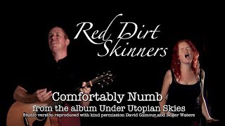 Red Dirt Skinners  Comfortably Numb  Pink Floyd Cover  Studio version [upl. by Giltzow]