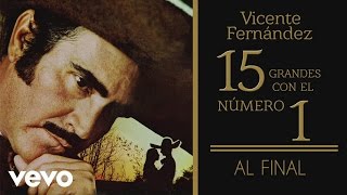 Vicente Fernández  Al Final Tema Remasterizado Cover Audio [upl. by Caine]