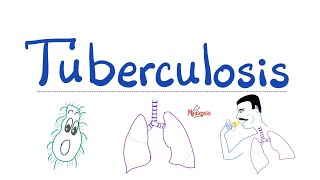 Tuberculosis TB  The Most Comprehensive Explanation  Respiratory Pathology  Pulmonology Series [upl. by Reinhold]