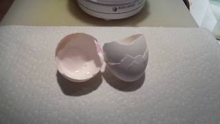 Natural Eggshell Membrane  NEM  preparing eggshells  recipe [upl. by Rouvin]