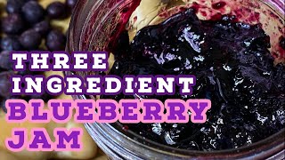 THREE INGREDIENT Blueberry Jam  The BEST HOMEMADE Blueberry Jam  Angela’s Green Cuisine [upl. by Notnirb]