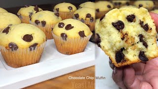 CHOCOLATE CHIP MUFFIN  Easy amp Basic Yummy Muffin Recipe [upl. by Minor111]