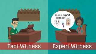 What is an expert witness [upl. by Tracey]