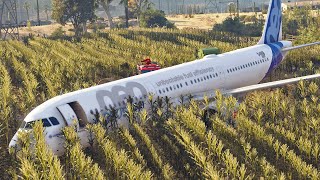 Bird Strike and Landing in Cornfield Airbus A321 Ural Airlines  How was it GTA 5 Version [upl. by Initirb]