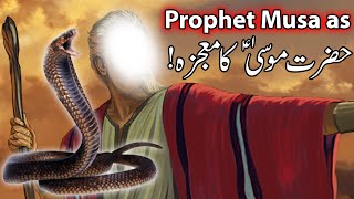 Hazrat Musa as Ka Mojza  Prophet Moosa Firon Waqia  Moses Story  Qasas ul Anbiya Mehrban Ali Nabi [upl. by Ennayelhsa274]