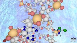 The Mechanism of Cisplatin New HD [upl. by Flemings389]