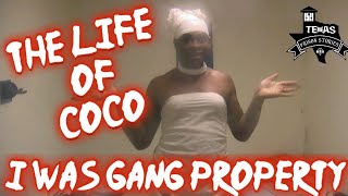 I Was A Prison Slave Named CoCo [upl. by Lacsap]