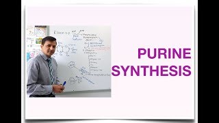 Purine Synthesis De Novo Purine Synthesis [upl. by Kaitlin126]