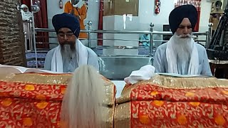 Gurudwara Kotwali Sahib  Live Kirtan  Morinda [upl. by Aener]