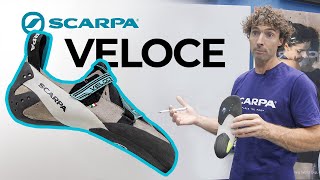 ALL NEW SCARPA Veloce indoor climbing shoe [upl. by Bucella]