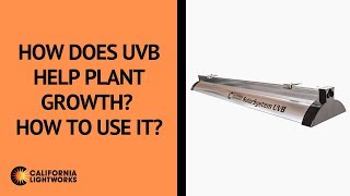 How does UVB help plant growth How to use it [upl. by Heywood]