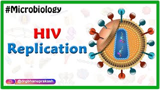 HIV Replication  Microbiology Medical Animations [upl. by Wanonah]