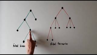 ÁRBOLES BINARIOS Matemática discreta [upl. by Ydnir]